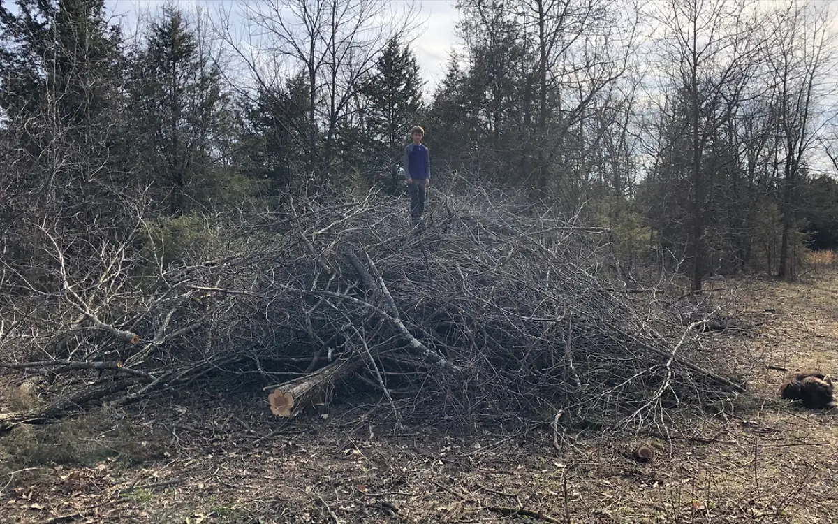 Land Management & Habitat Work by CG Dirt Work and More in northeast Oklahoma