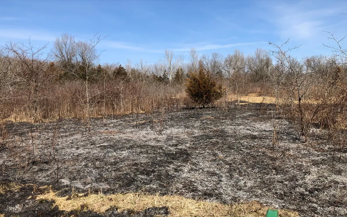 Owner-operated land management and habitat work by CG Dirt Work and More in northeast Oklahoma