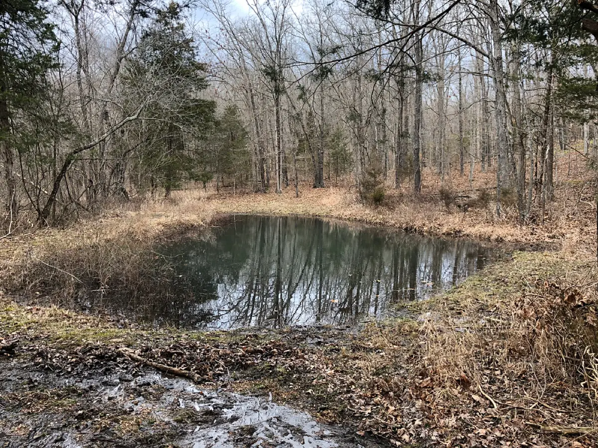 Owner-operated pond digging and excavation by CG Dirt Work and More in Osage County, OK
